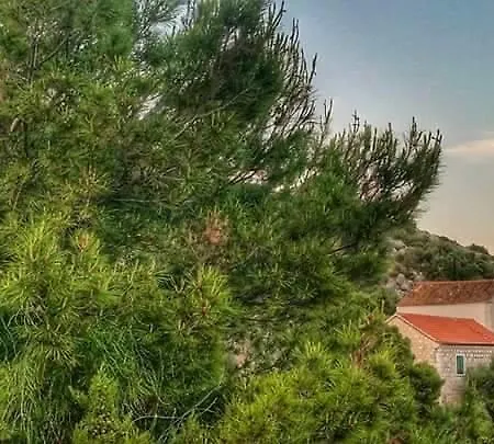 Casa vacanze Viola